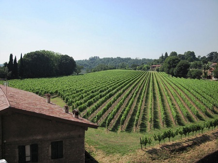 franciacorta
